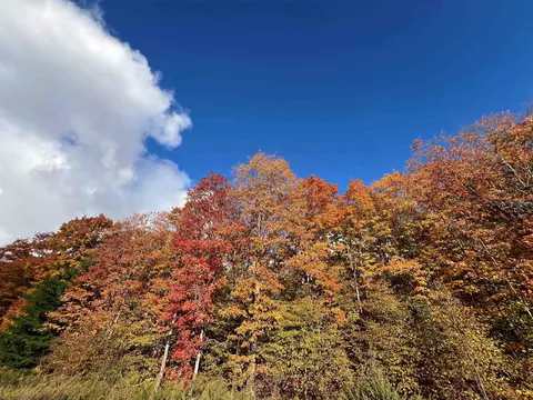tbd Old Horton Bay, Boyne City, MI 49712