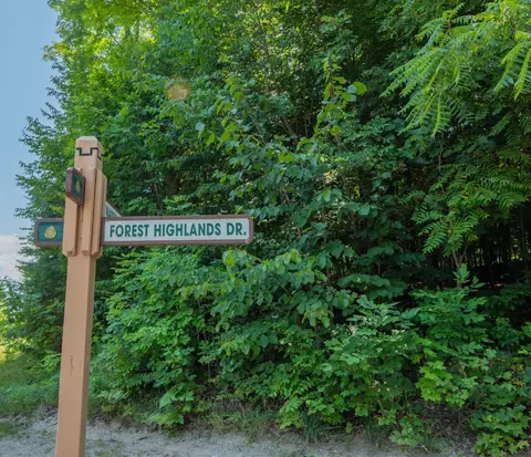 lot165 Forest Highlands #LOT : 165, Bellaire, MI 49615