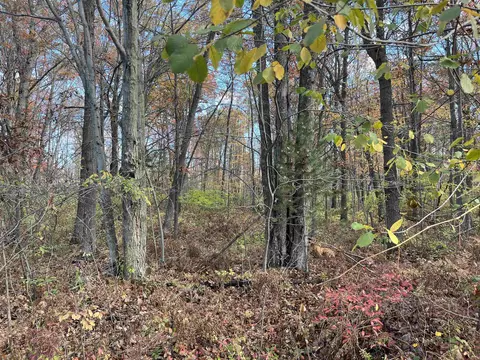 Nka Husak, Omer, MI 48749