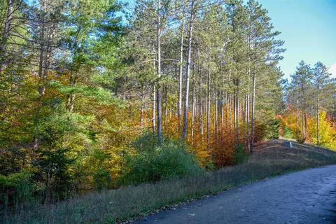 W Timber, Empire, MI 49630 photo 6