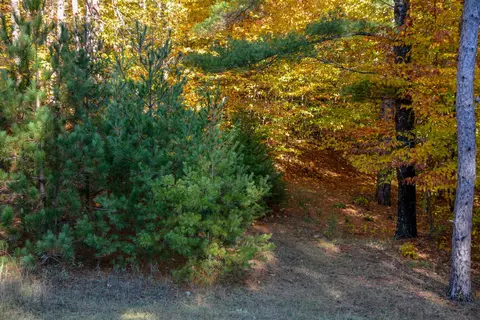 W Timber, Empire, MI 49630 photo 7