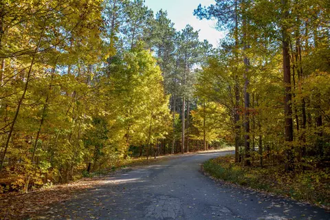 W Timber, Empire, MI 49630 photo 3