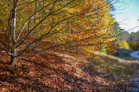W Timber, Empire, MI 49630 photo 10