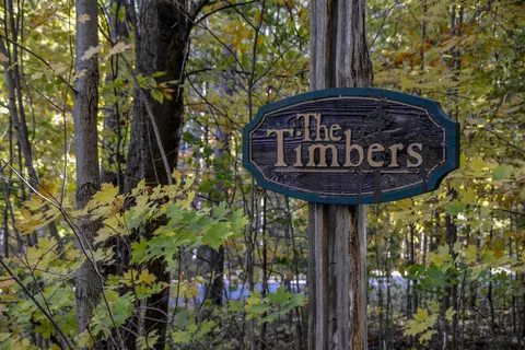 W Timber, Empire, MI 49630 photo 2