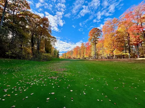 V/l 51 Troon South, Bellaire, MI 49615