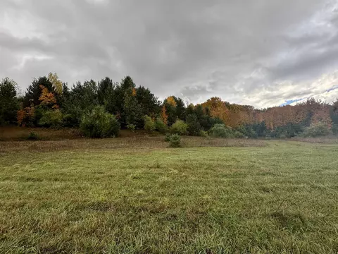 2 E 4 Acres Off E Popa, Cedar, MI 49621