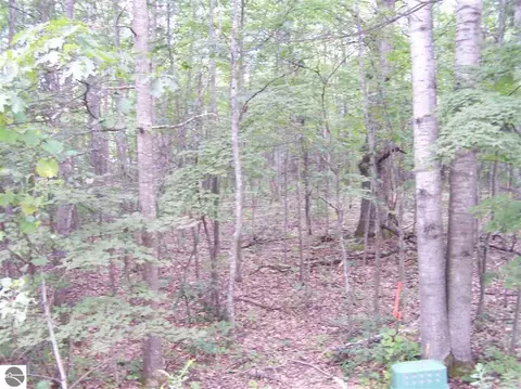 tbd N Circle E #LOT : 8, Farwell, MI 48622 photo 2