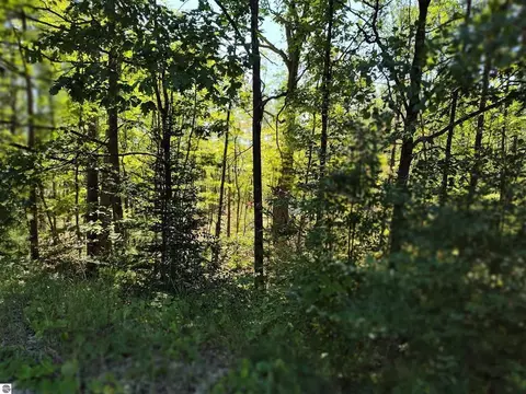 tbd N Circle E #LOT : 8, Farwell, MI 48622 photo 5