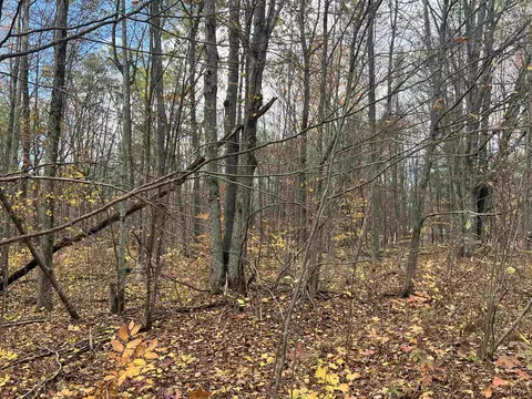 000 Wildwood Shrs, Kalkaska, MI 49646