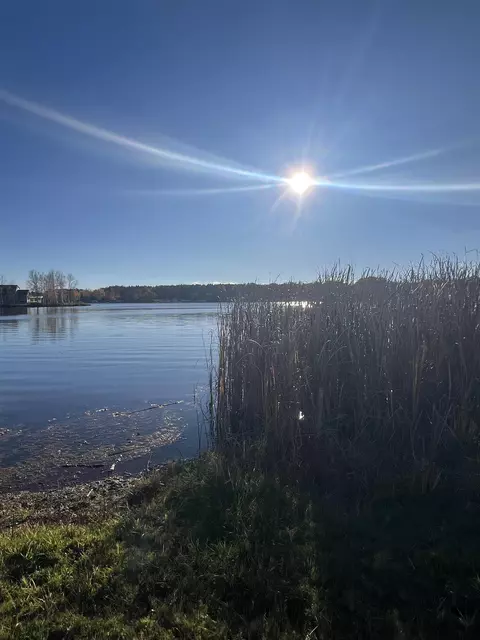 110 Brandy, Cadillac, MI 49601