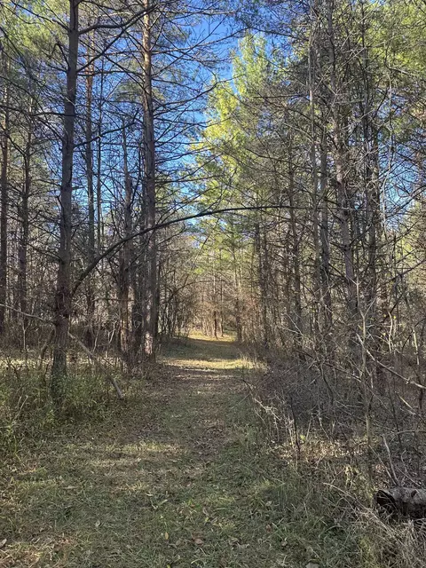 00 Drier, Standish, MI 48658 photo 14