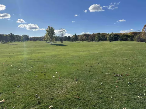 00 Drier, Standish, MI 48658 photo 29