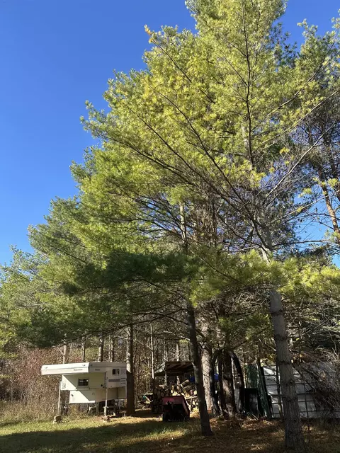 00 Drier, Standish, MI 48658 photo 5