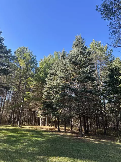 00 Drier, Standish, MI 48658 photo 11