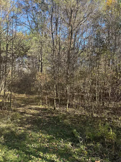 00 Drier, Standish, MI 48658 photo 10