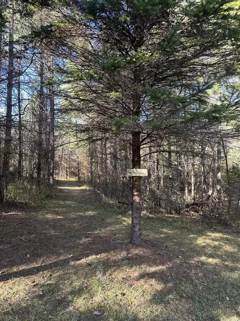 00 Drier, Standish, MI 48658 photo 12