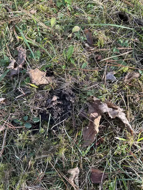 00 Drier, Standish, MI 48658 photo 18