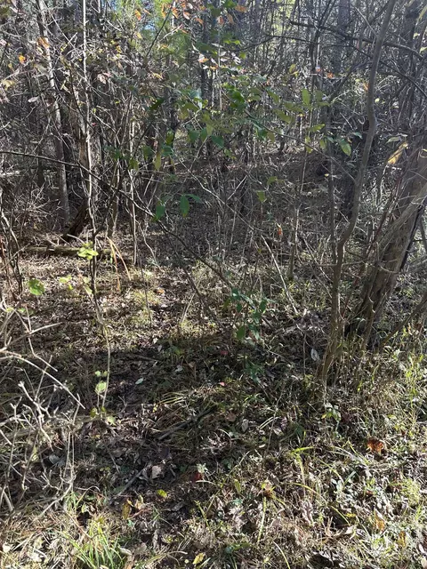 00 Drier, Standish, MI 48658 photo 23