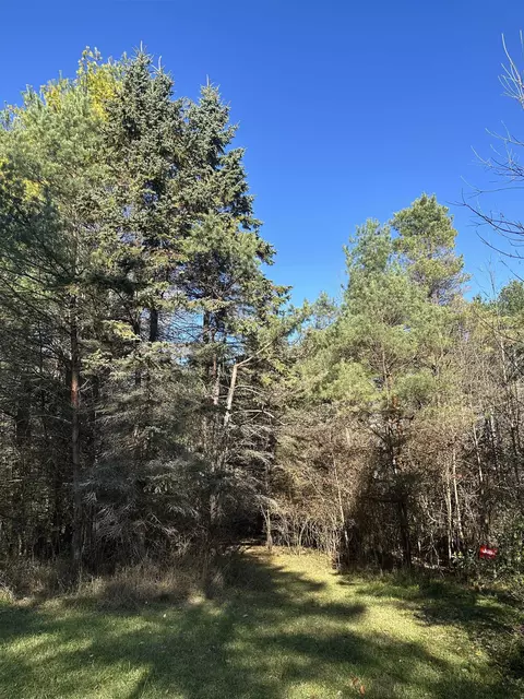 00 Drier, Standish, MI 48658 photo 9