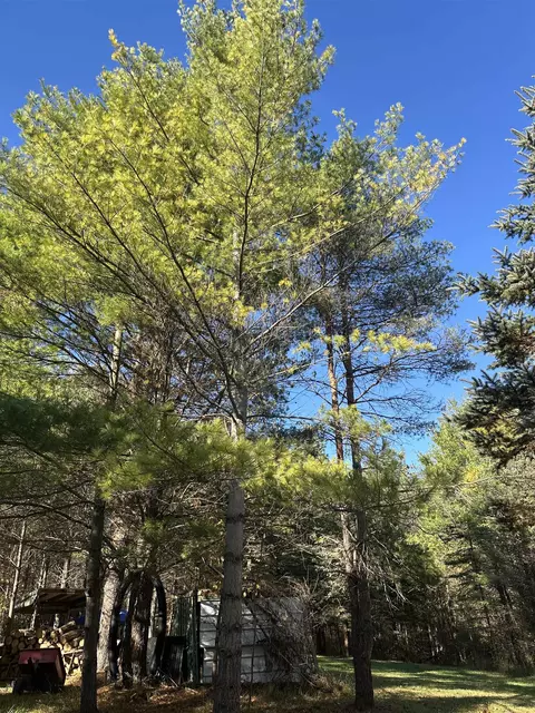 00 Drier, Standish, MI 48658 photo 6