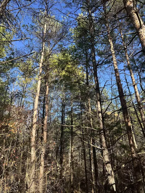 00 Drier, Standish, MI 48658 photo 22
