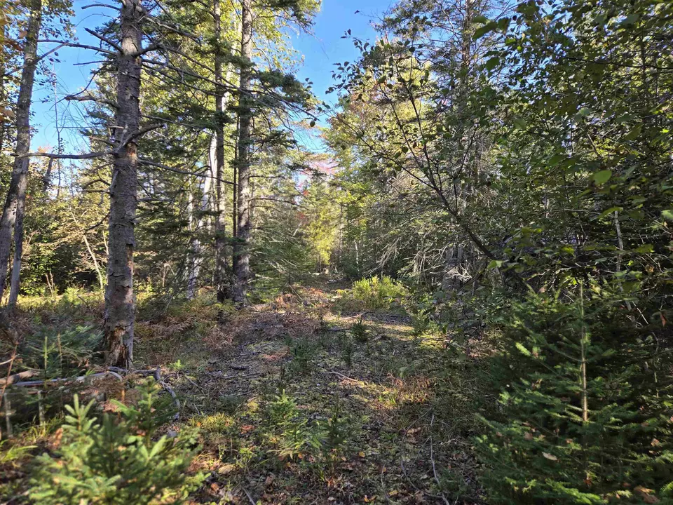 Exterior - 5971 E Pt, Harrisville, MI 48740 photo 5 of 6