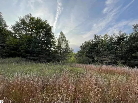 V/l Parcel E 18 1/2, Manton, MI 49663 photo 2