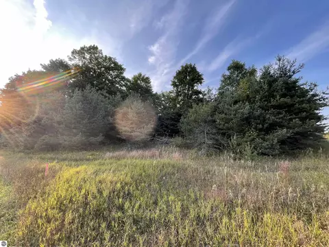 V/l Parcel E 18 1/2, Manton, MI 49663 photo 3