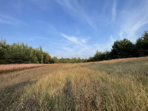 V/l Parcel F E 18 1/2, Manton, MI 49663