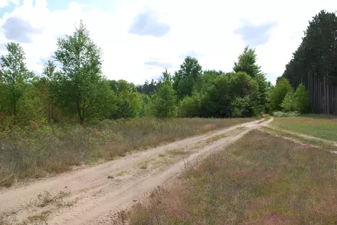 little LOT : B, Kalkaska, MI 49646