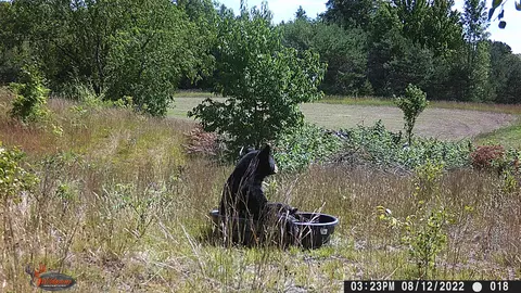 V/l Parcel D E 18 1/2, Manton, MI 49663 photo 11