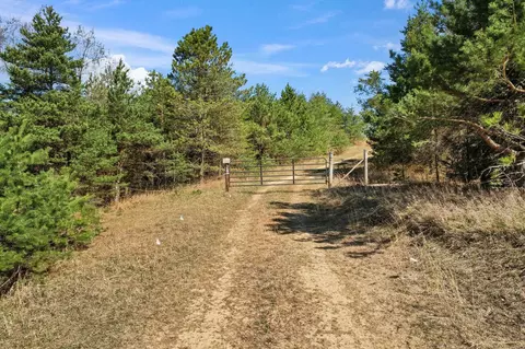 V/l Parcel D E 18 1/2, Manton, MI 49663 photo 8