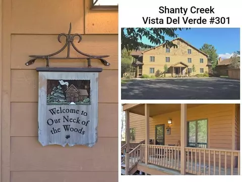 2050 W Schuss Mtn #301, Bellaire, MI 49615