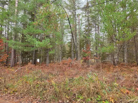 Battalion, Grayling, MI 49738 photo 4