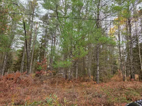 Battalion, Grayling, MI 49738 photo 5