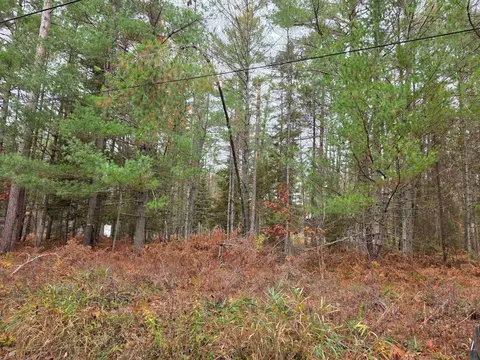 Battalion, Grayling, MI 49738 photo 2