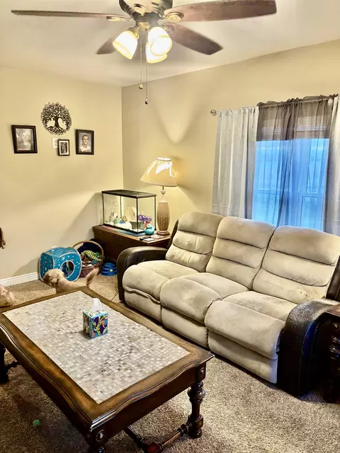 917 E Riv, Mount Pleasant, MI 48858 photo 20