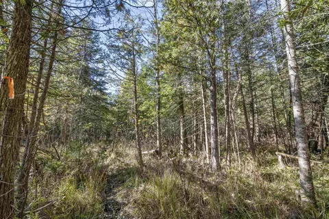 0 E Vly, Cedar, MI 49621 photo 28