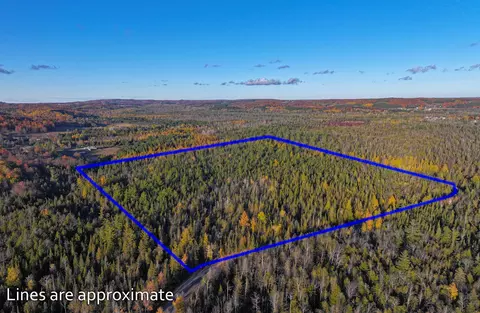 0 E Vly, Cedar, MI 49621