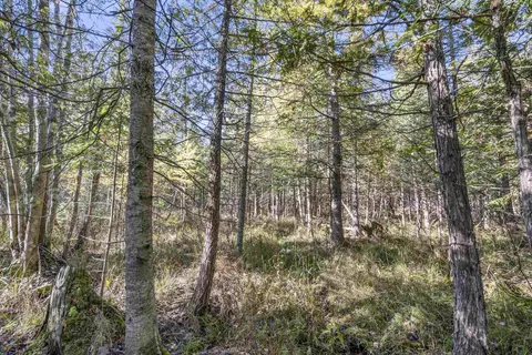 0 E Vly, Cedar, MI 49621 photo 26