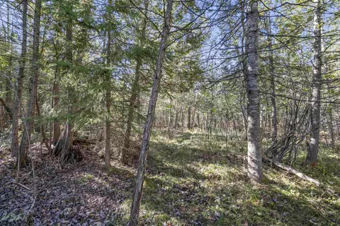 0 E Vly, Cedar, MI 49621 photo 25