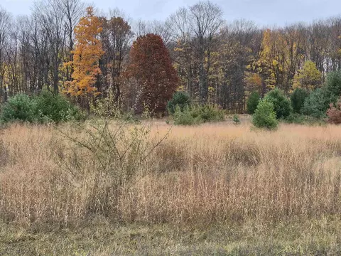 8980 Alden #LOT : 9, Alden, MI 49612