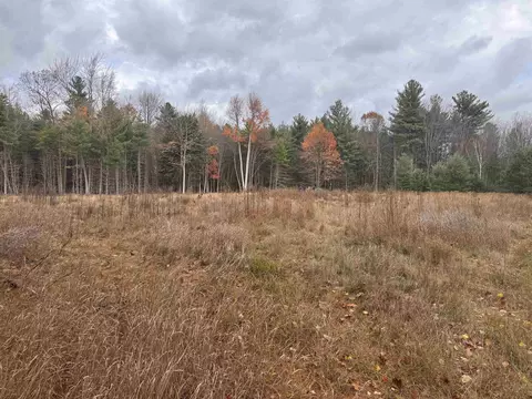 V/l Newman, East Tawas, MI 48730