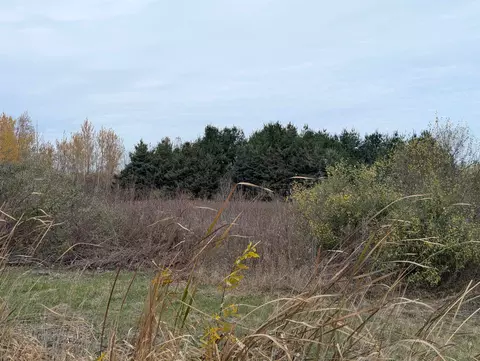 N/a Manor, Au Gres, MI 48703