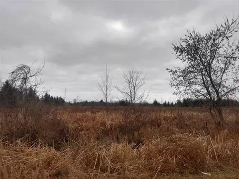 N/a Jodway, Au Gres, MI 48703 photo 6