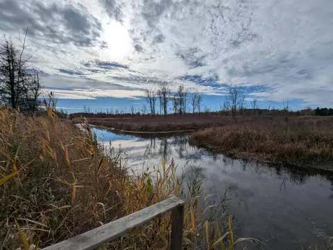 2090 Green #LOT : 16-17, Au Gres, MI 48703 photo 11