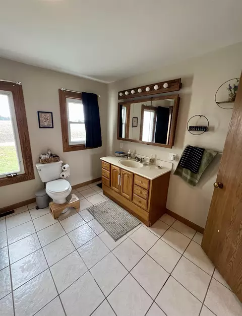 3425 E Washington, Ithaca, MI 48847 photo 9