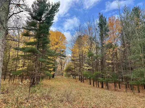 3 W 64 Acres W, Empire, MI 49630