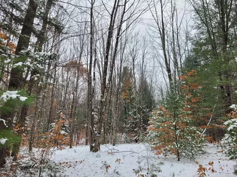 11771 W 16, Mesick, MI 49668 photo 11