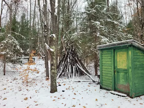 11771 W 16, Mesick, MI 49668